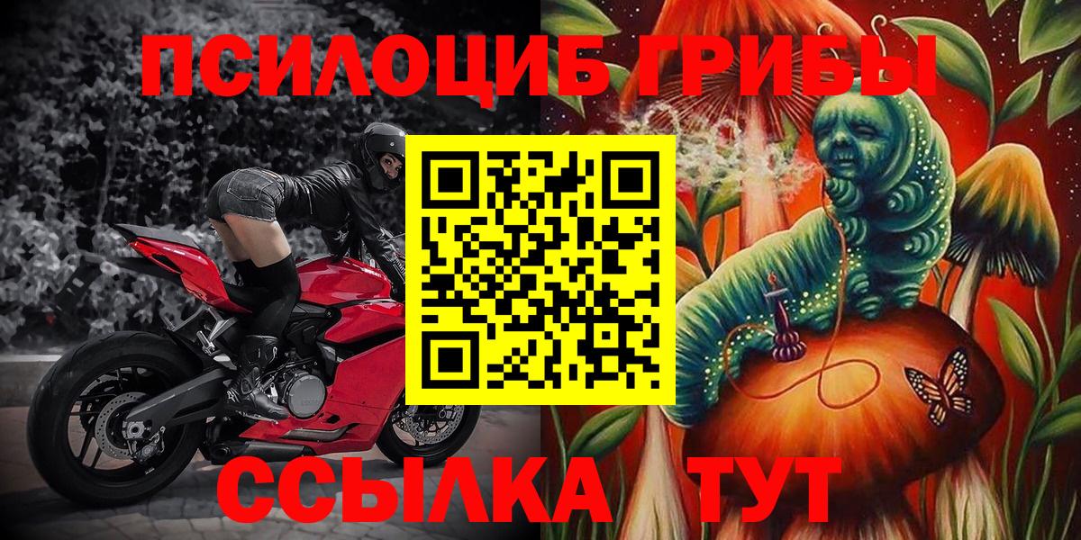 Галлюциногенные грибы ЛСД  где купить   Реж  Вход с VPN 